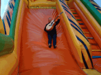 68aa09335d8e2.gif
