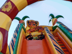 68aa0932a5bba.gif