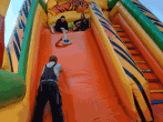 68aa0932d84bd.gif