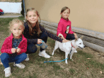 68aa094752036.gif